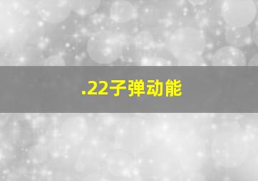 .22子弹动能