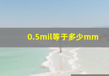 0.5mil等于多少mm