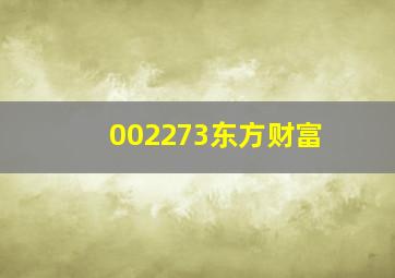 002273东方财富