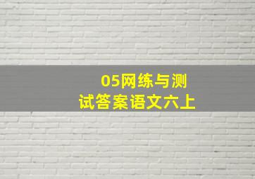 05网练与测试答案语文六上