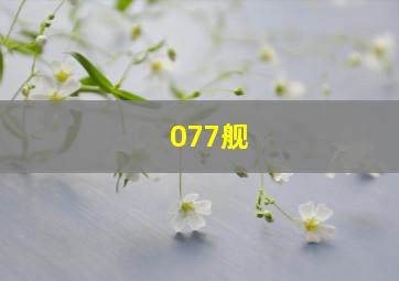 077舰