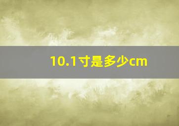 10.1寸是多少cm