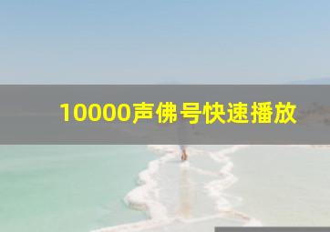 10000声佛号快速播放