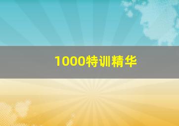 1000特训精华