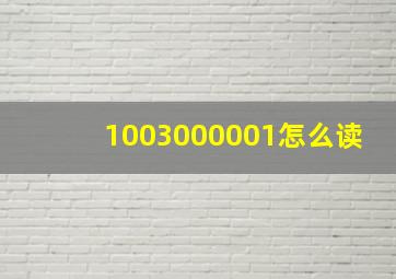 1003000001怎么读