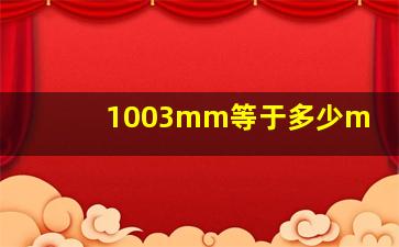 1003mm等于多少m