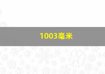 1003毫米