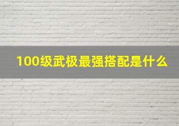 100级武极最强搭配是什么