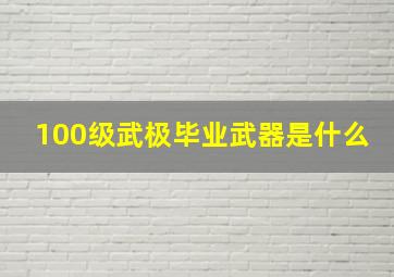 100级武极毕业武器是什么