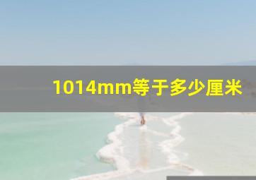 1014mm等于多少厘米