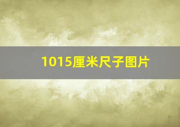 1015厘米尺子图片