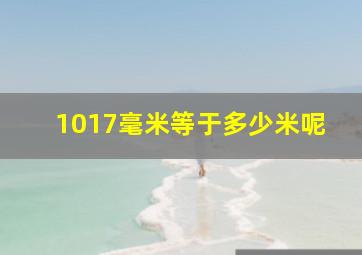 1017毫米等于多少米呢