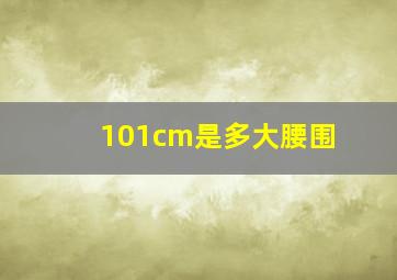 101cm是多大腰围