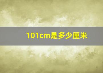 101cm是多少厘米