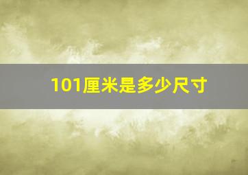 101厘米是多少尺寸