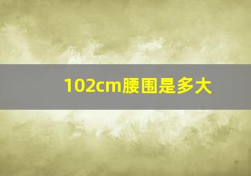 102cm腰围是多大