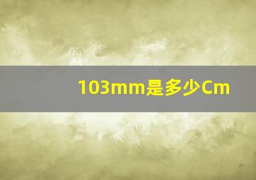 103mm是多少Cm