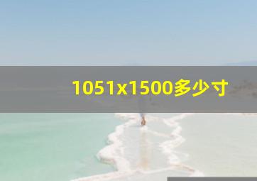 1051x1500多少寸