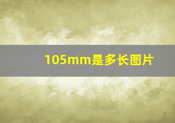 105mm是多长图片