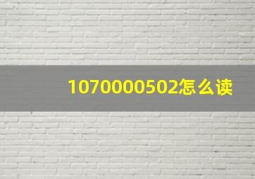 1070000502怎么读