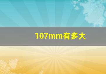 107mm有多大