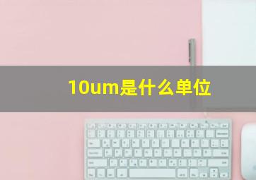 10um是什么单位