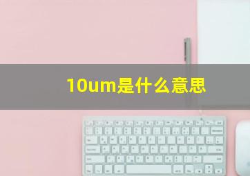 10um是什么意思