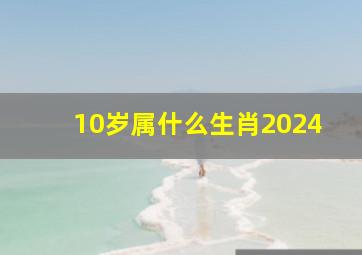 10岁属什么生肖2024