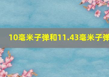 10毫米子弹和11.43毫米子弹