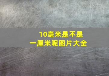 10毫米是不是一厘米呢图片大全