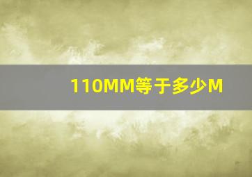 110MM等于多少M