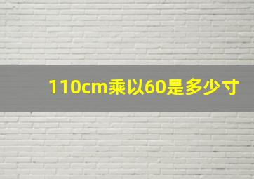 110cm乘以60是多少寸