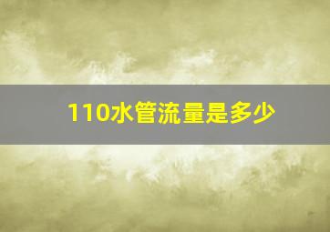 110水管流量是多少