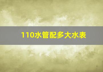 110水管配多大水表