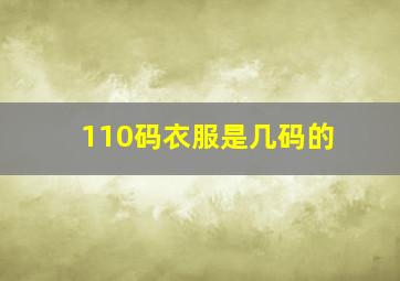 110码衣服是几码的