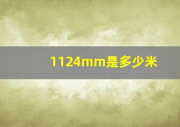 1124mm是多少米