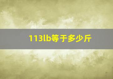 113lb等于多少斤