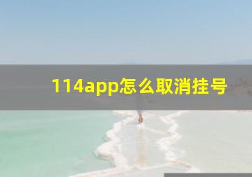 114app怎么取消挂号