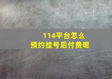 114平台怎么预约挂号后付费呢