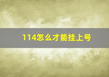 114怎么才能挂上号