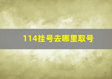 114挂号去哪里取号