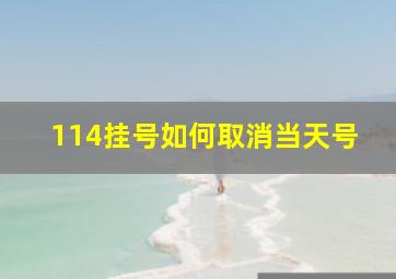 114挂号如何取消当天号