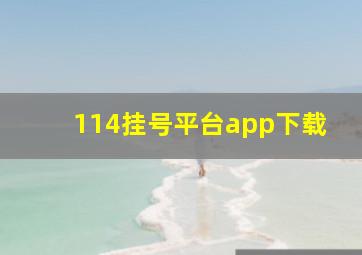 114挂号平台app下载