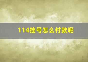 114挂号怎么付款呢