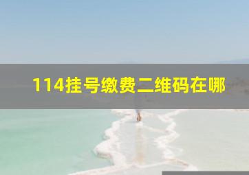 114挂号缴费二维码在哪