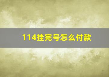 114挂完号怎么付款