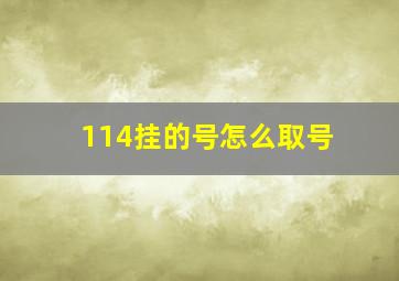 114挂的号怎么取号