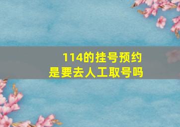 114的挂号预约是要去人工取号吗