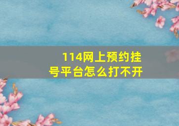 114网上预约挂号平台怎么打不开