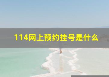 114网上预约挂号是什么